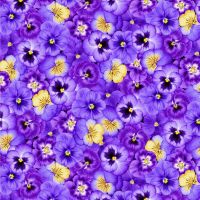 ttPANSY-CD4872 PURPLE